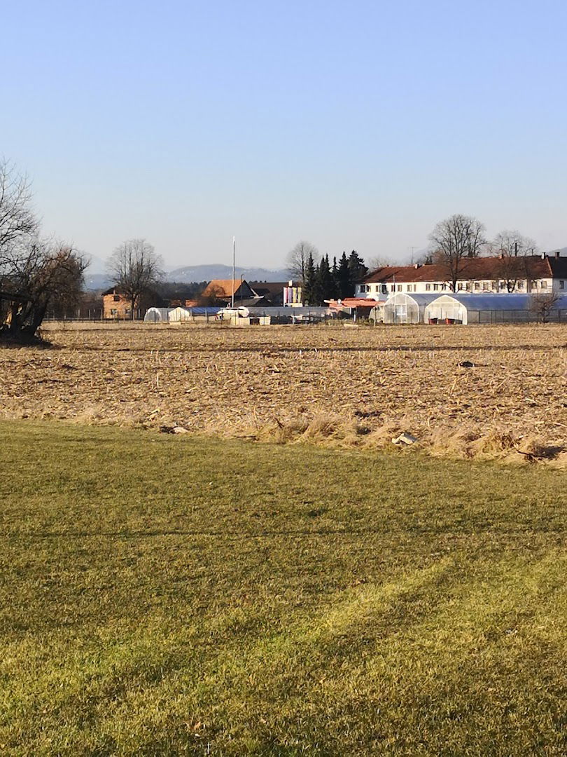 Mestna občina Celje krajevna skupnost Medlog