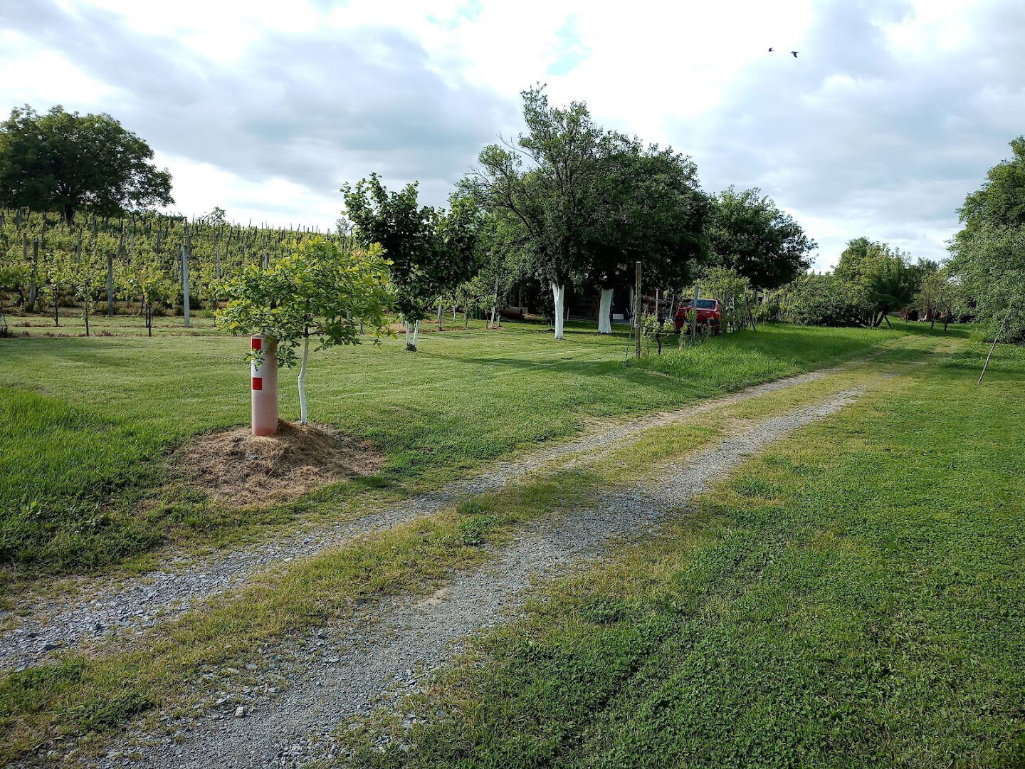 Ranč Vinarija Lovrenčić