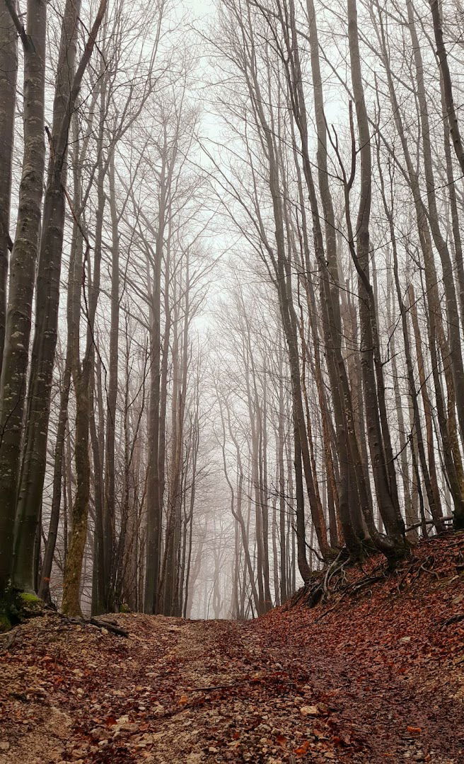 Naša kućica naša slobodica Mrzla Vodica
