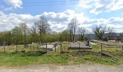 Majski Trtnik cemetery