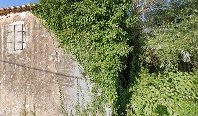 Risika 32 apartman sonja