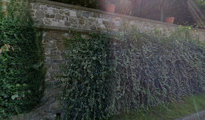 Lions Club International Vogrsko