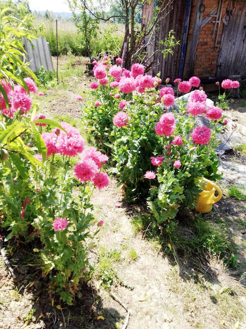 Društveni dom Breznica