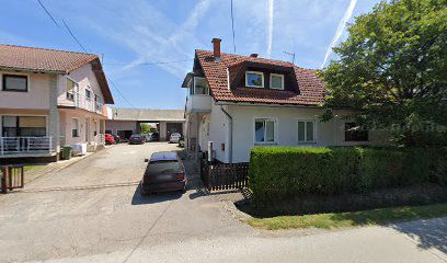 Autodijagnostika Leo i Tino