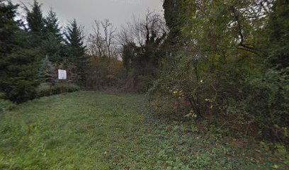 Lepoticino kraljevstvo