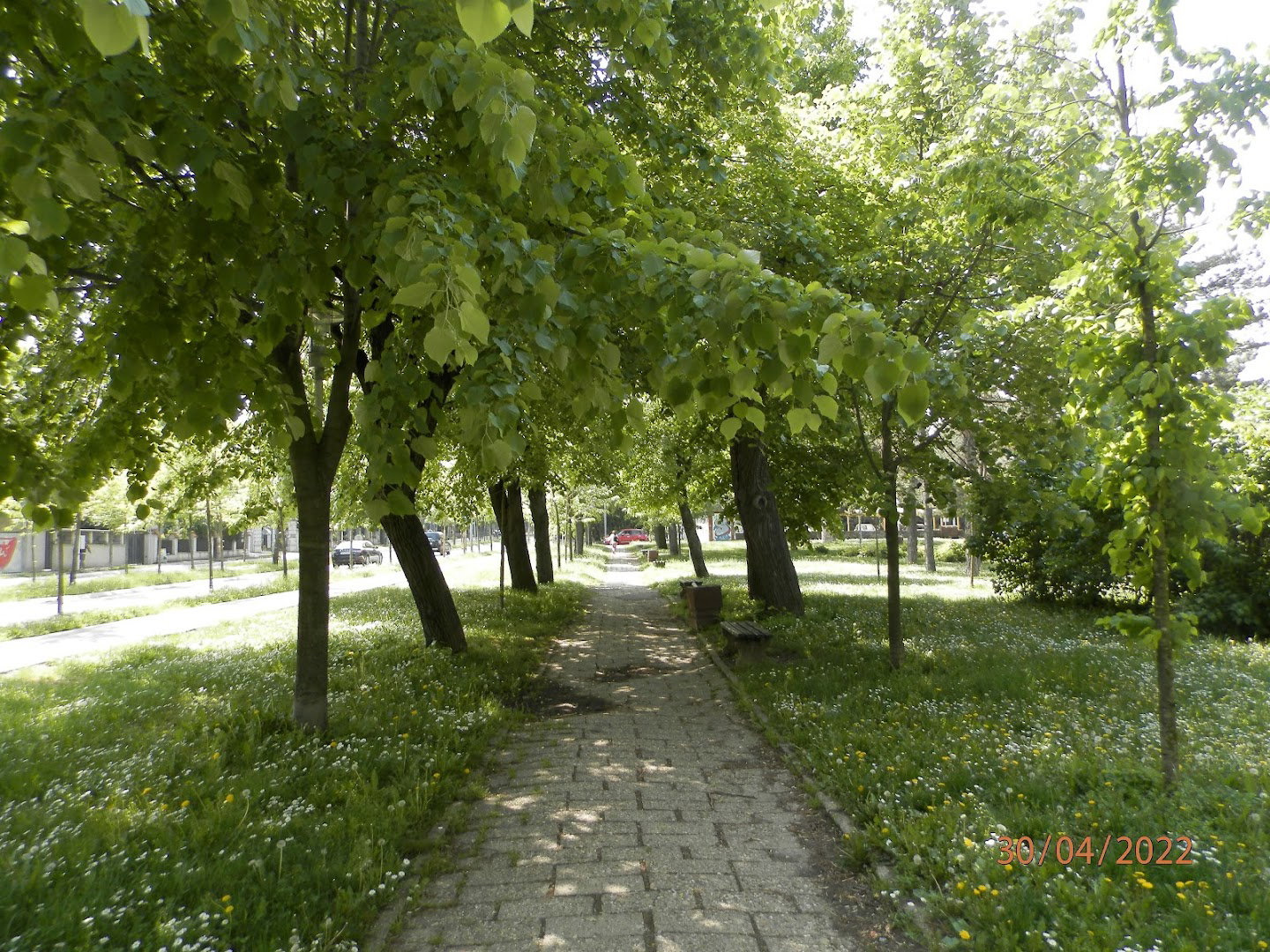 Dedinjski Park