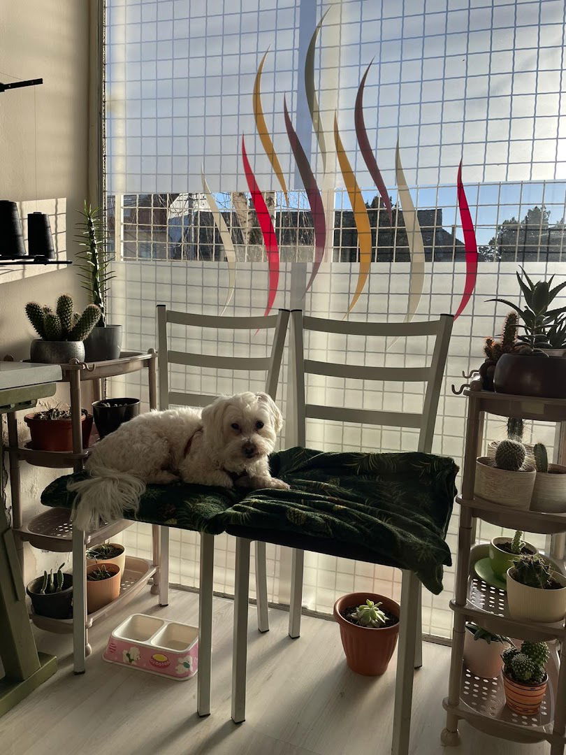 Popravka Odeće / Paki Teks