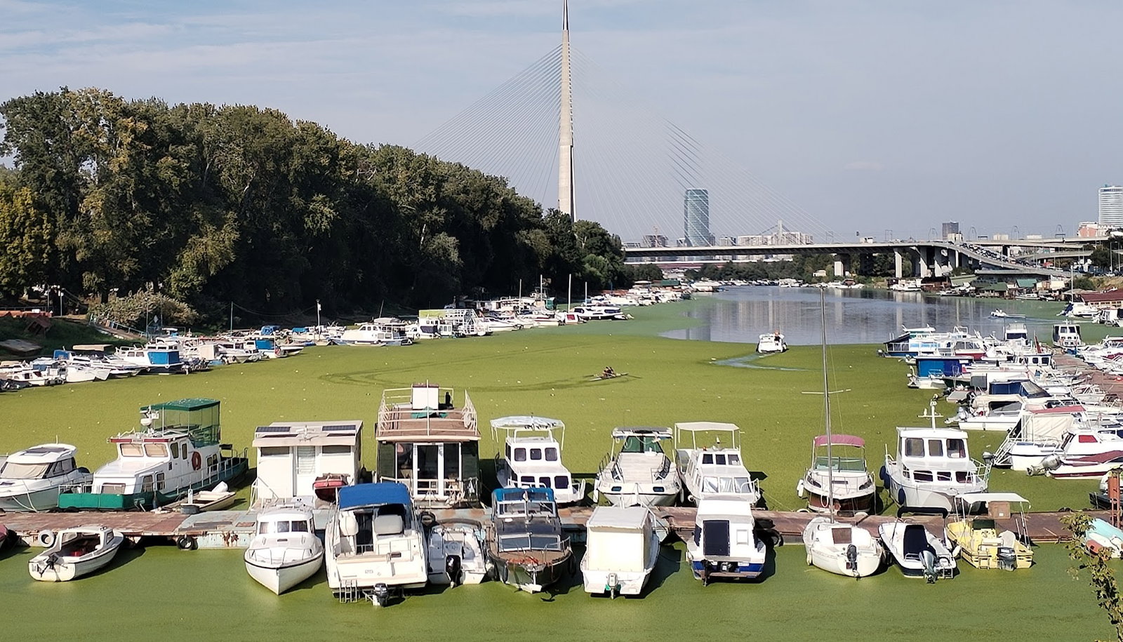 Biciklistička staza na Adi