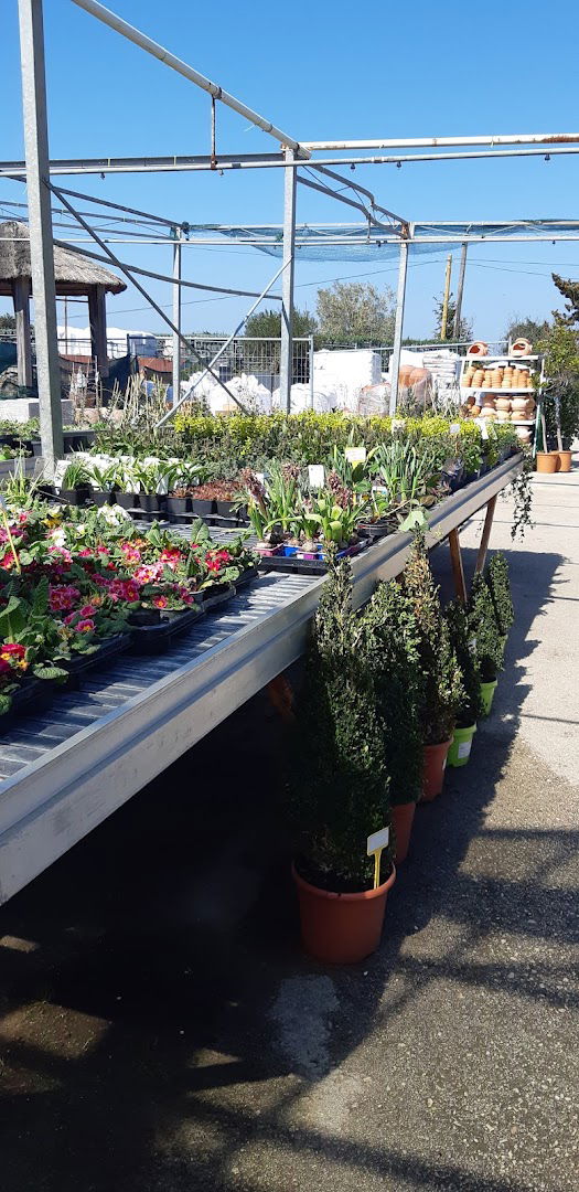 Vrtni centar Baković