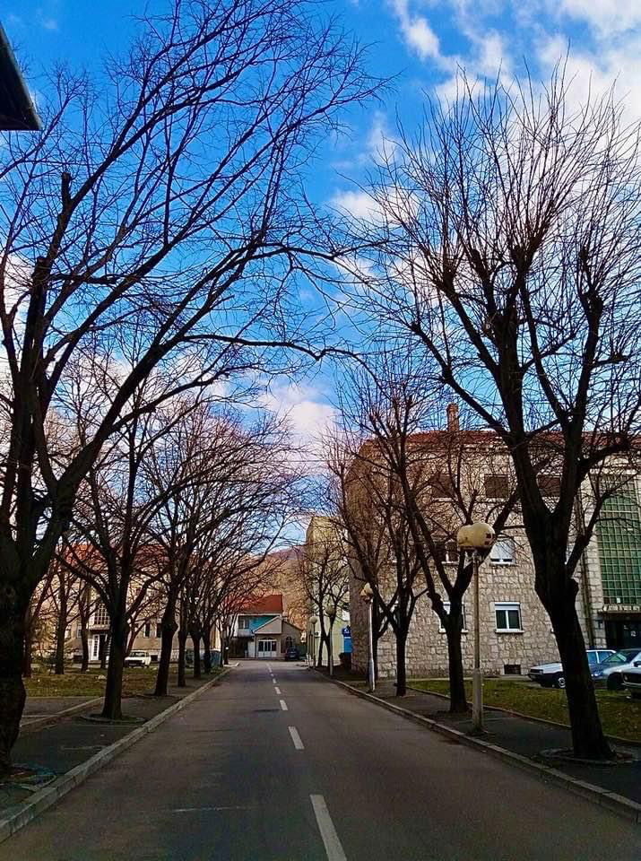 City Centre Apartment Trebinje
