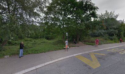 Бежанијска коса 6