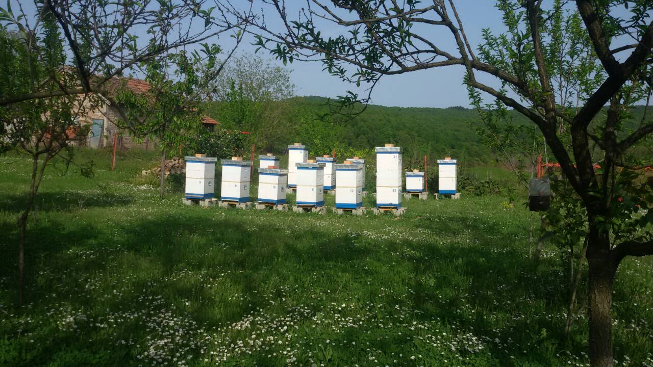 Domaćinstvo Sneže i Žarka Vidaković