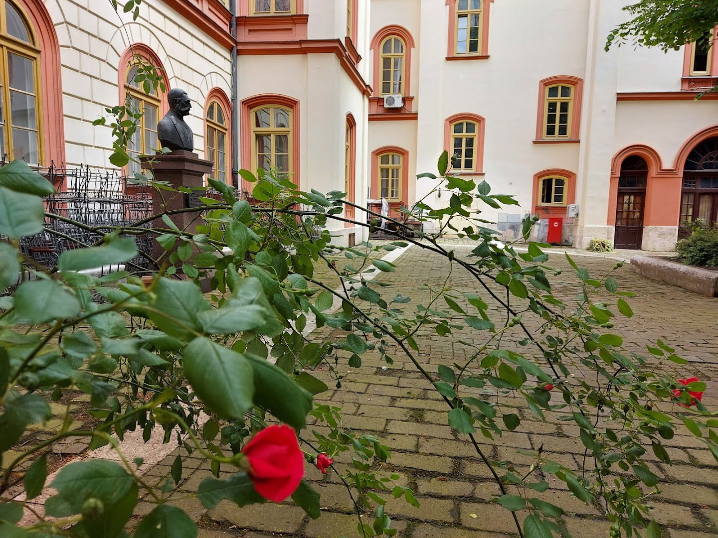 Centar za razvoj karijere Univerziteta u Beogradu CzRk