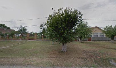 Biserica greco-catolica