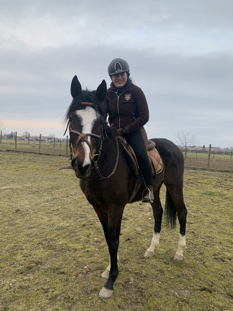 DECRETUM ranč konja