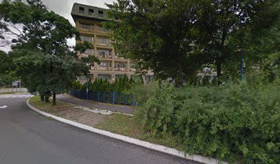 школа фолклора ШПАНАЦ