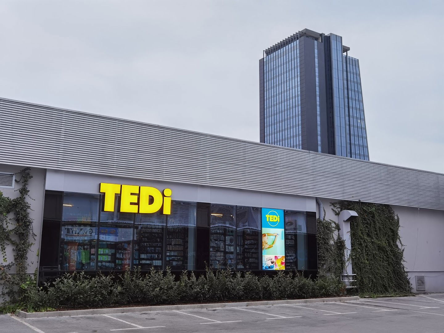 TEDi