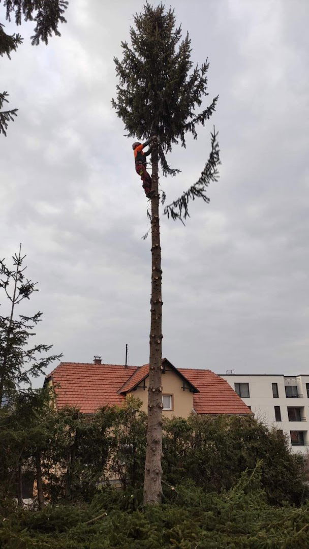 PROFI GOZD, MATJAŽ MAHAJNC s. p.