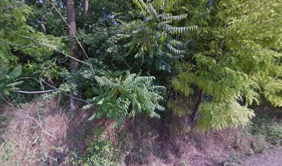 Vieille école de Boždarevac