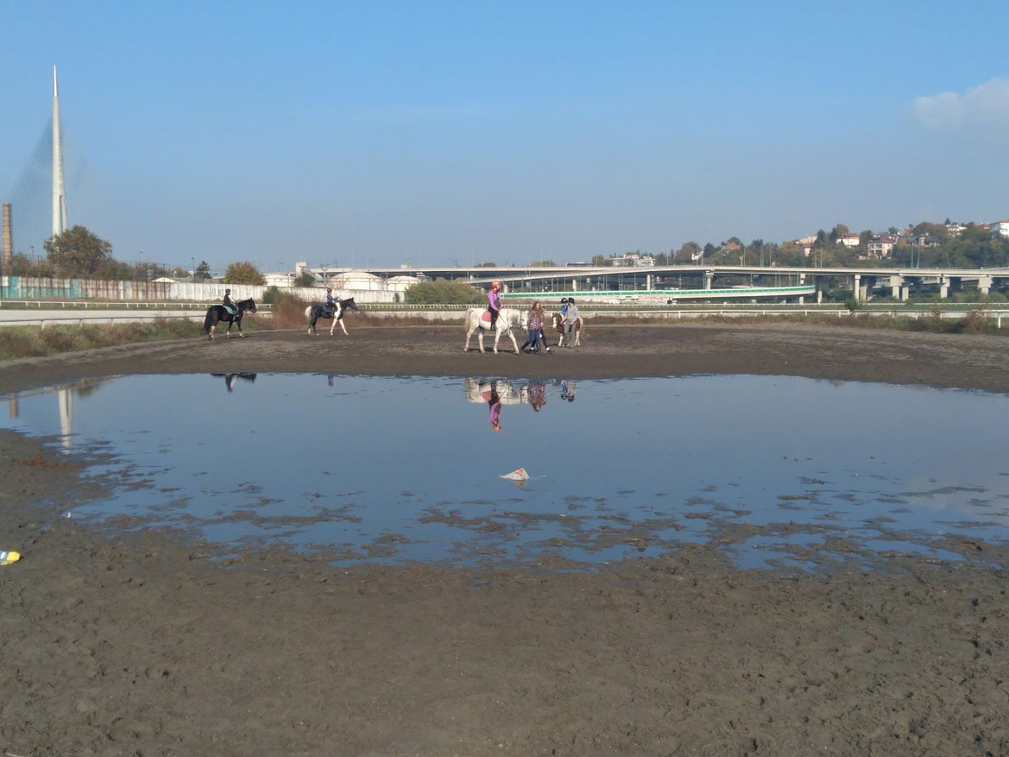 Škola jahanja i rekreativno jahanje BELA GRIVA