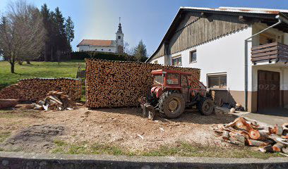 Sečnja in spravilo lesa, Jure Telič s.p.