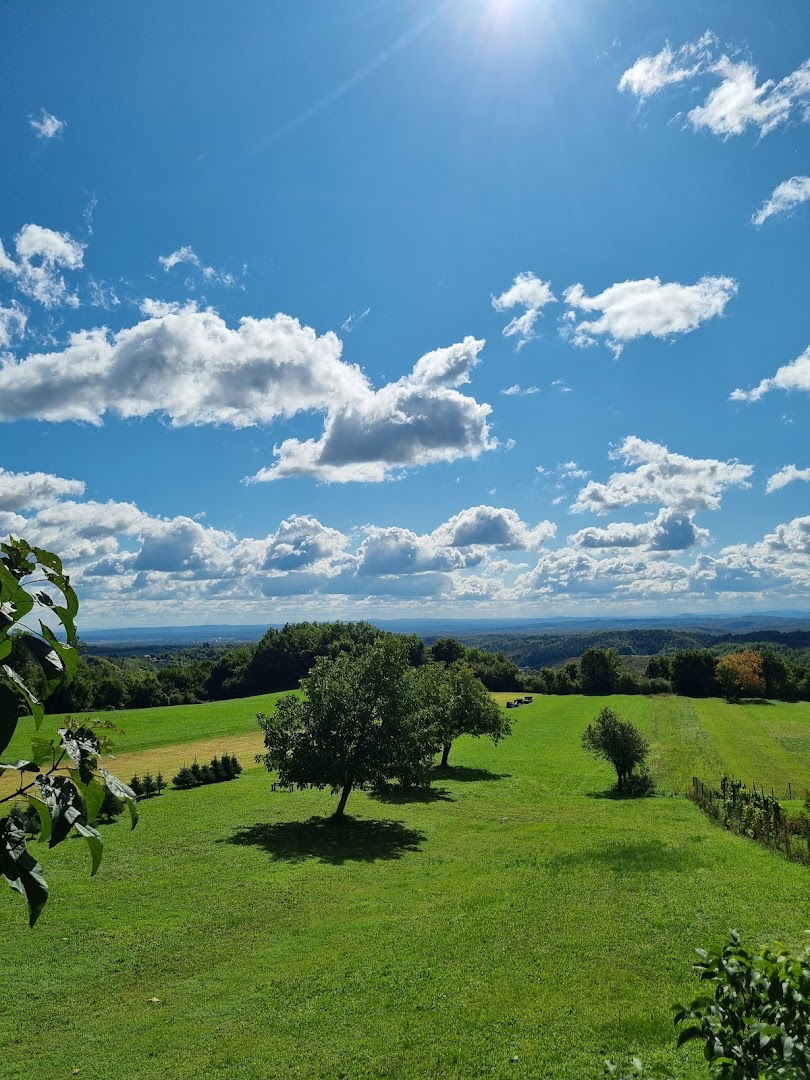 Obiteljski dom Paljug
