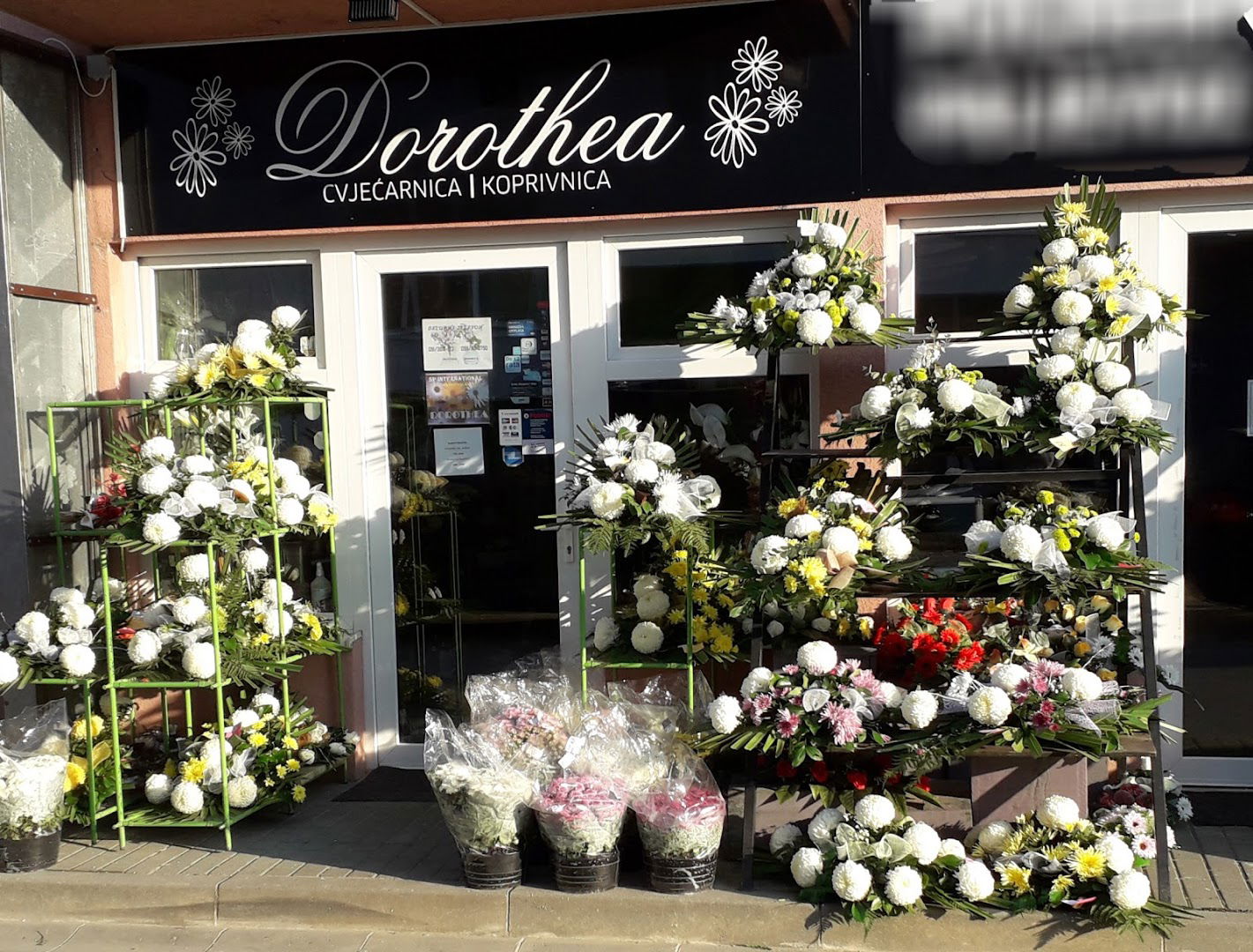 Cvjećarnica Dorothea