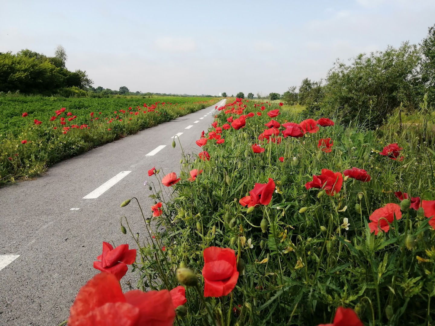 Преводница Итебеј