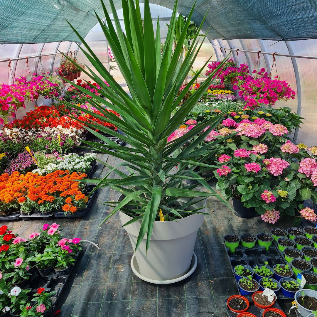 Floramye Zadar d.o.o.