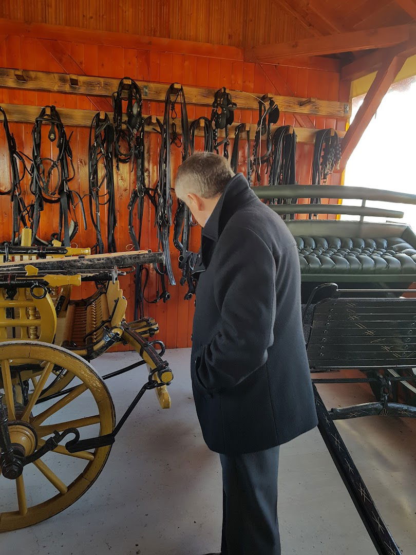 Mesna zajednica „Stari Tamiš”