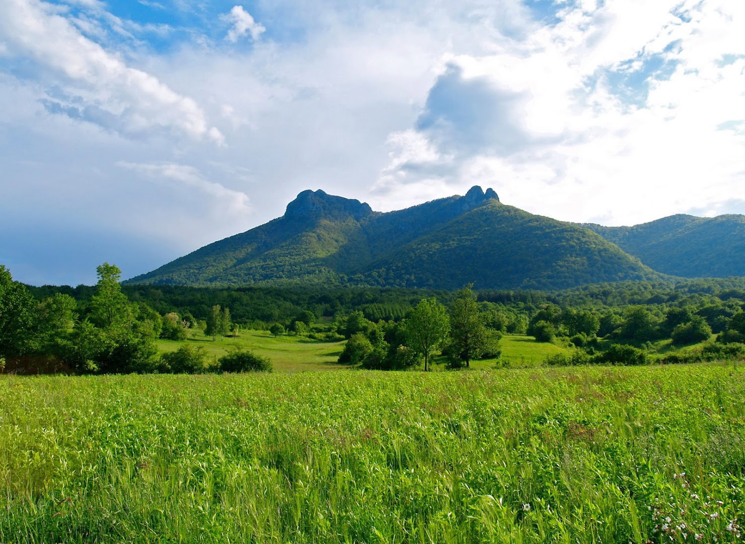 Hrvatski planinarski savez