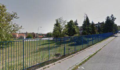 OŠ "Vladislav Petković"