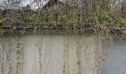 Hemamed company for trade and business services l.l.c. Ljubljana