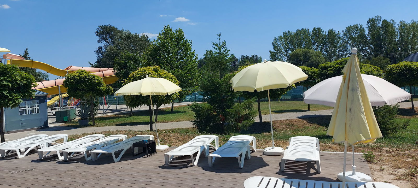 Dolphin Swimming Pool