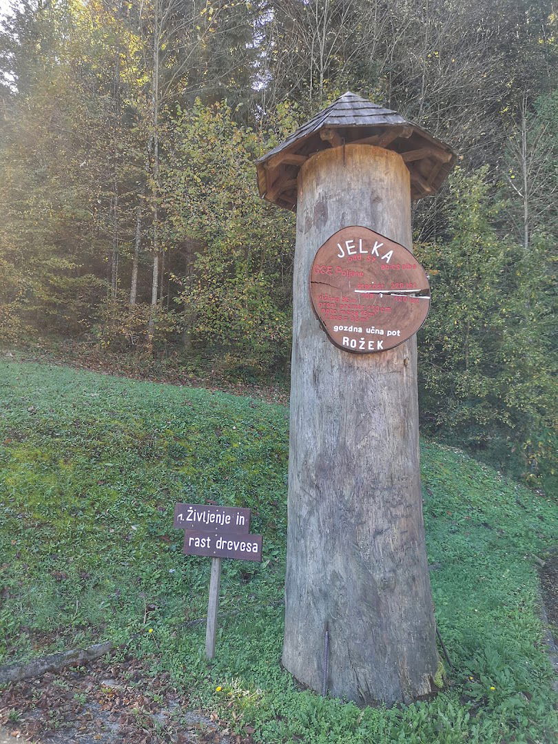 Narovoslovna gozdna pot Rožek