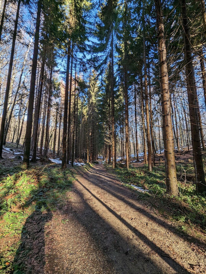 Photo point - Wood Tunnel
