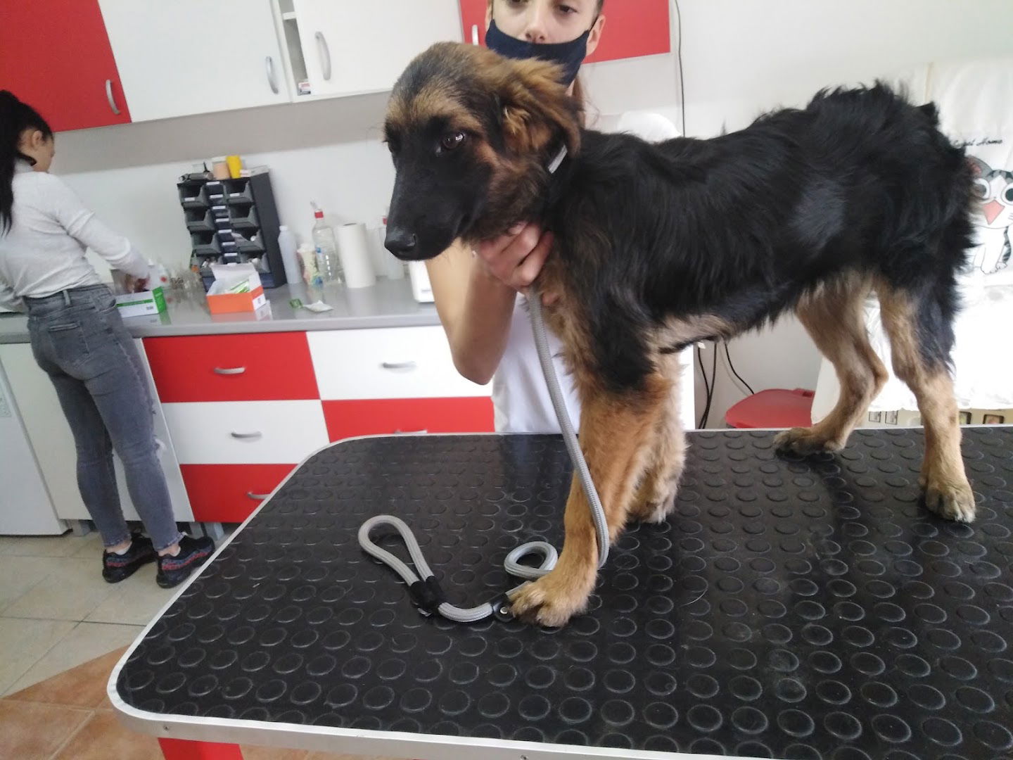 Veterinarska ambulanta VetArt