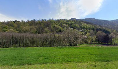 Posredništvo, trgovina in tiskarna "Tiskam", Marija Mihelin s.p.