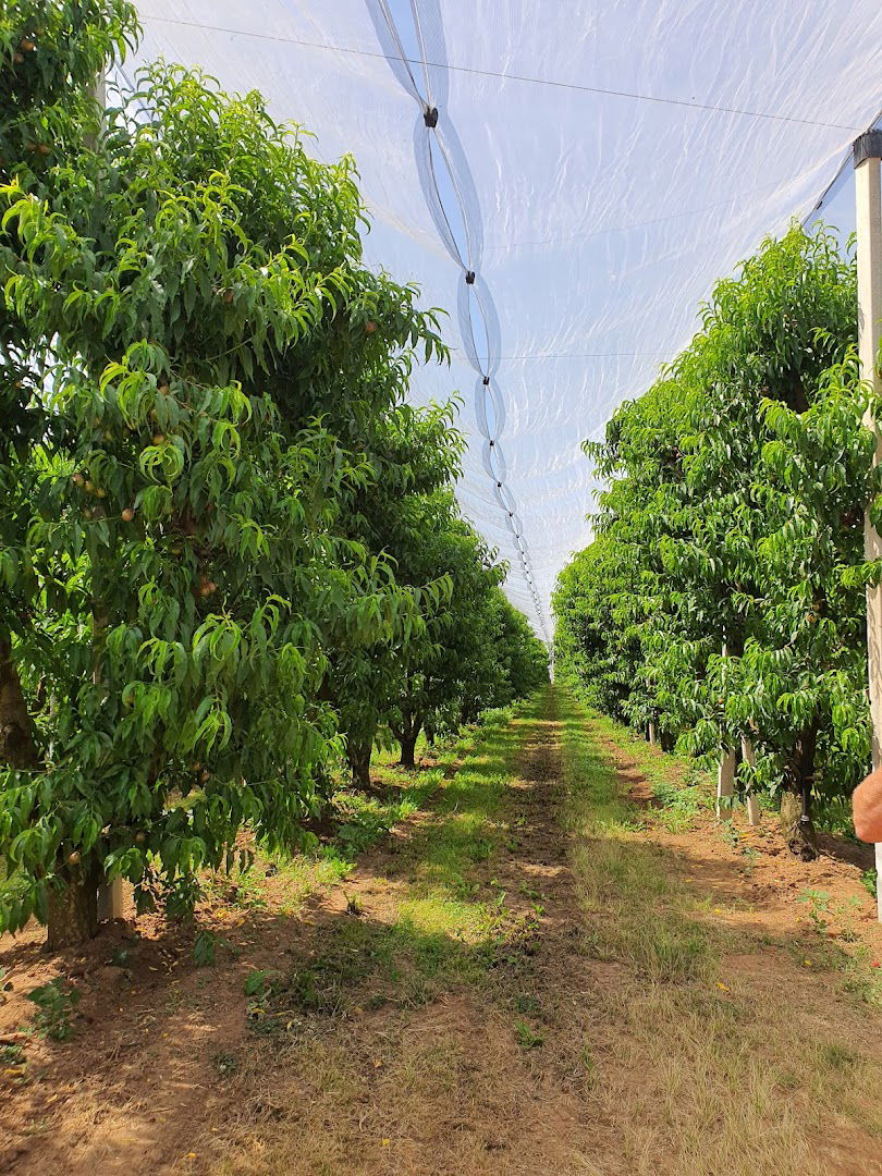 MIKS AGRO, OBRT ZA POLJOPRIVREDU