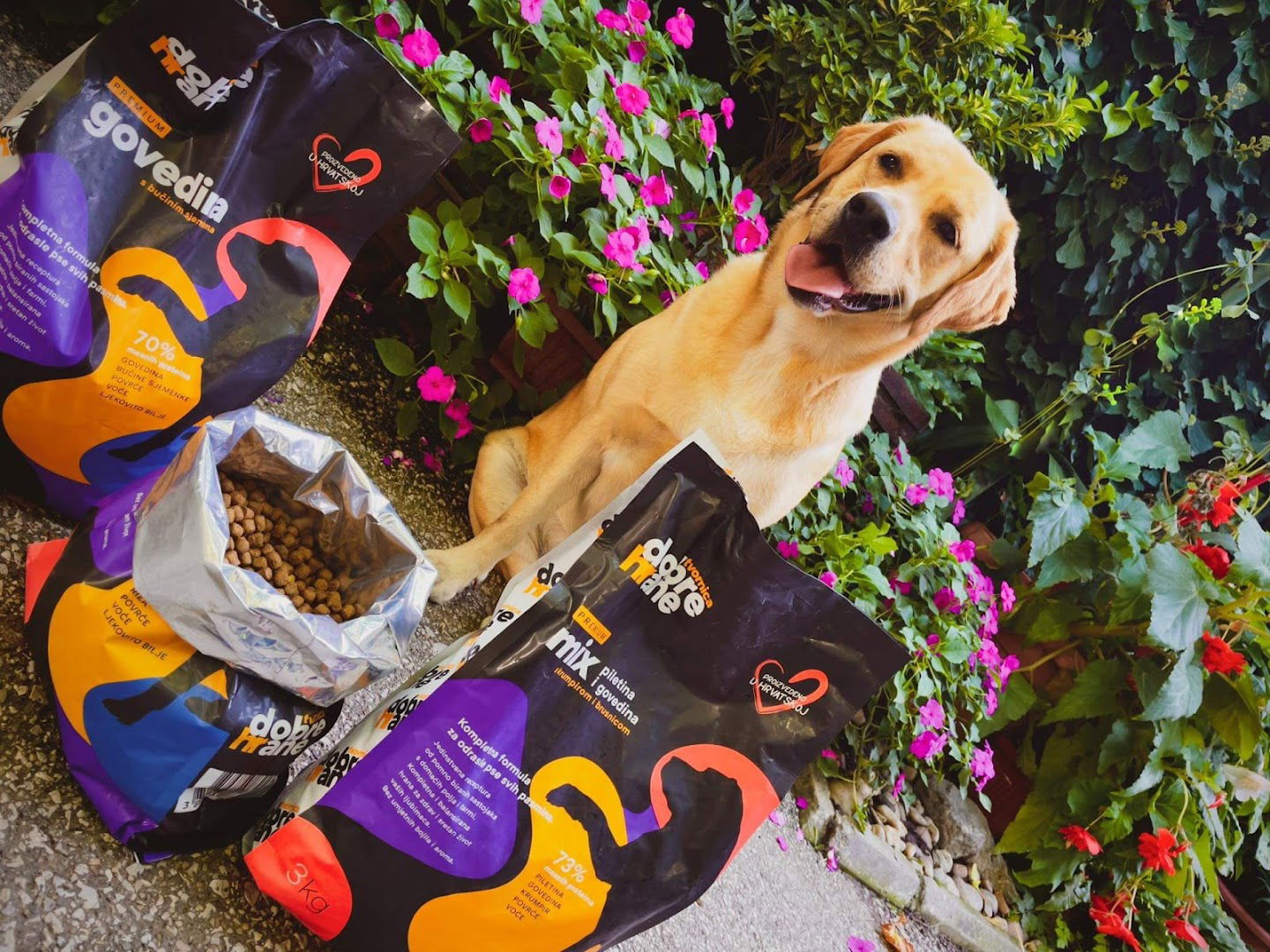 Tvornica dobre hrane