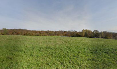 Gornja Čemernica cemetery