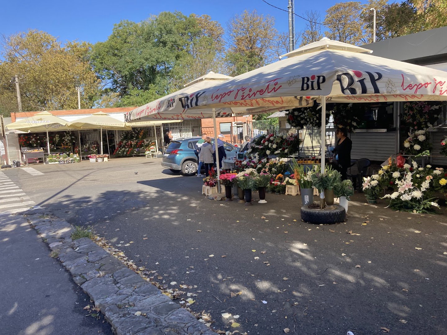 Flowers Radosavljevic