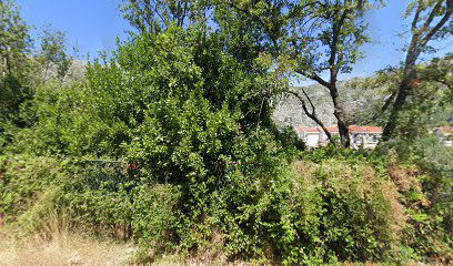 Exclusive Charter Dubrovnik