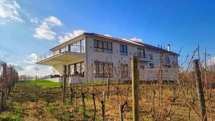 Vinogradi i vinarija Veličković