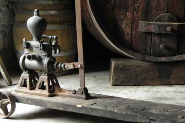 Peljesac wine & holidays