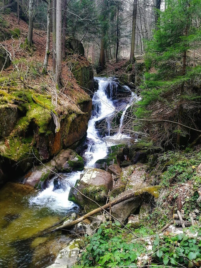 Bistriški vintgar