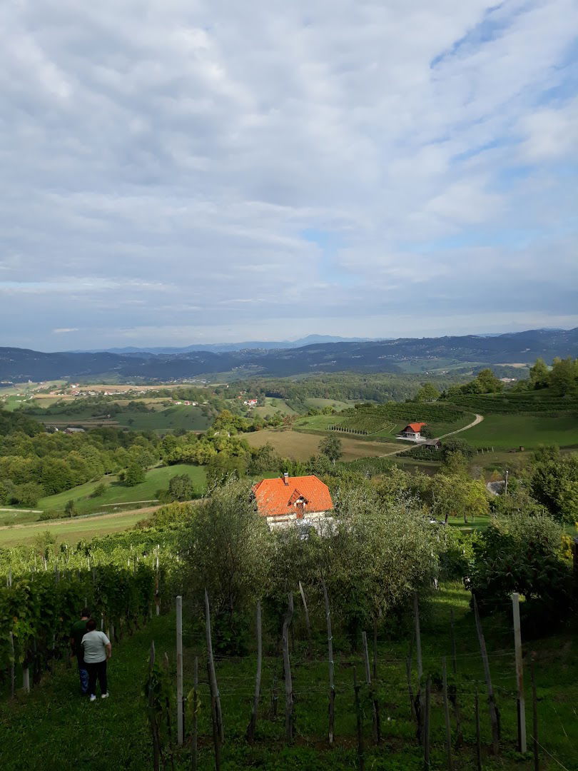 Oktan navtika, posredništvo, trgovina in storitve Petra Šketelj s.p.