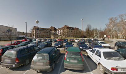 Parking Gradska tržnica Sisak