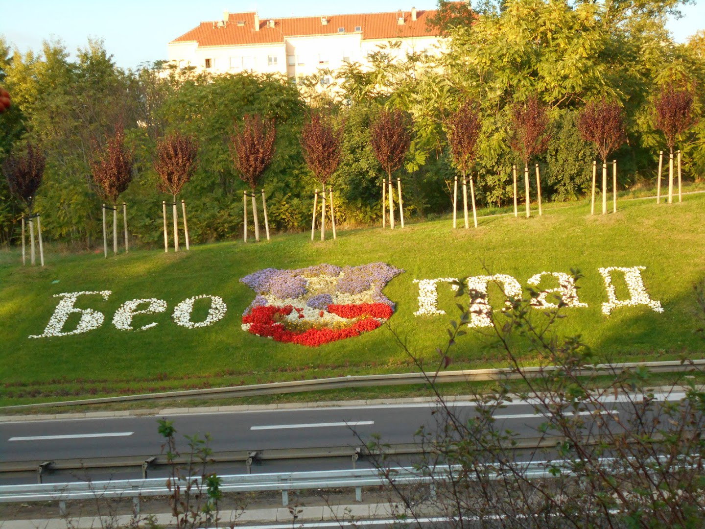 Травњак "БЕОГРАД 2"