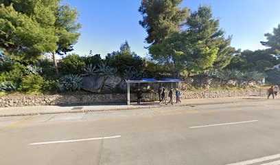 VUKOVARSKA - PLOKITE